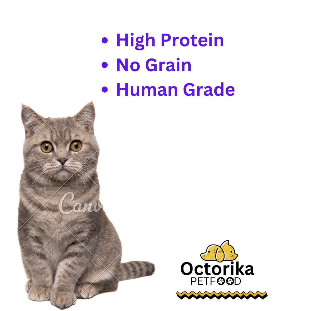 Dry Anchovy - Cat Treats