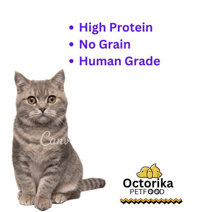 Dry Anchovy - Cat Treats